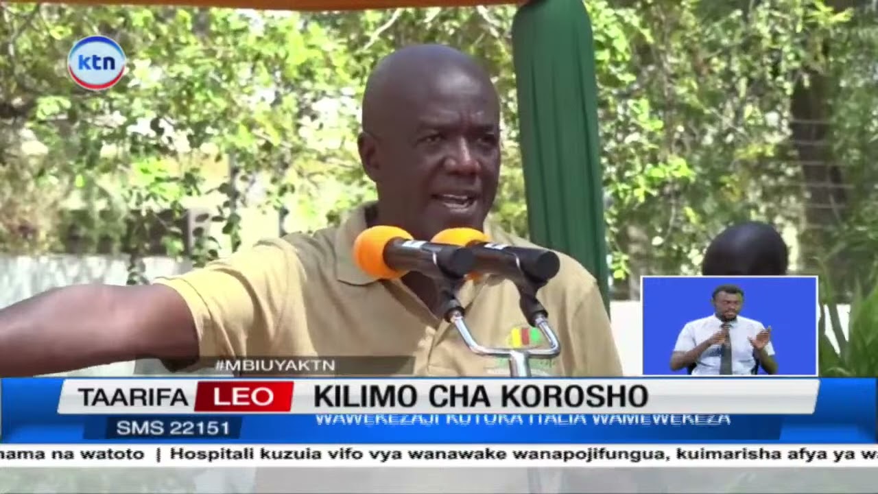 Kilimo cha korosho: Serikali ya Kilifi yawekeza kwenye kilimo cha korosho