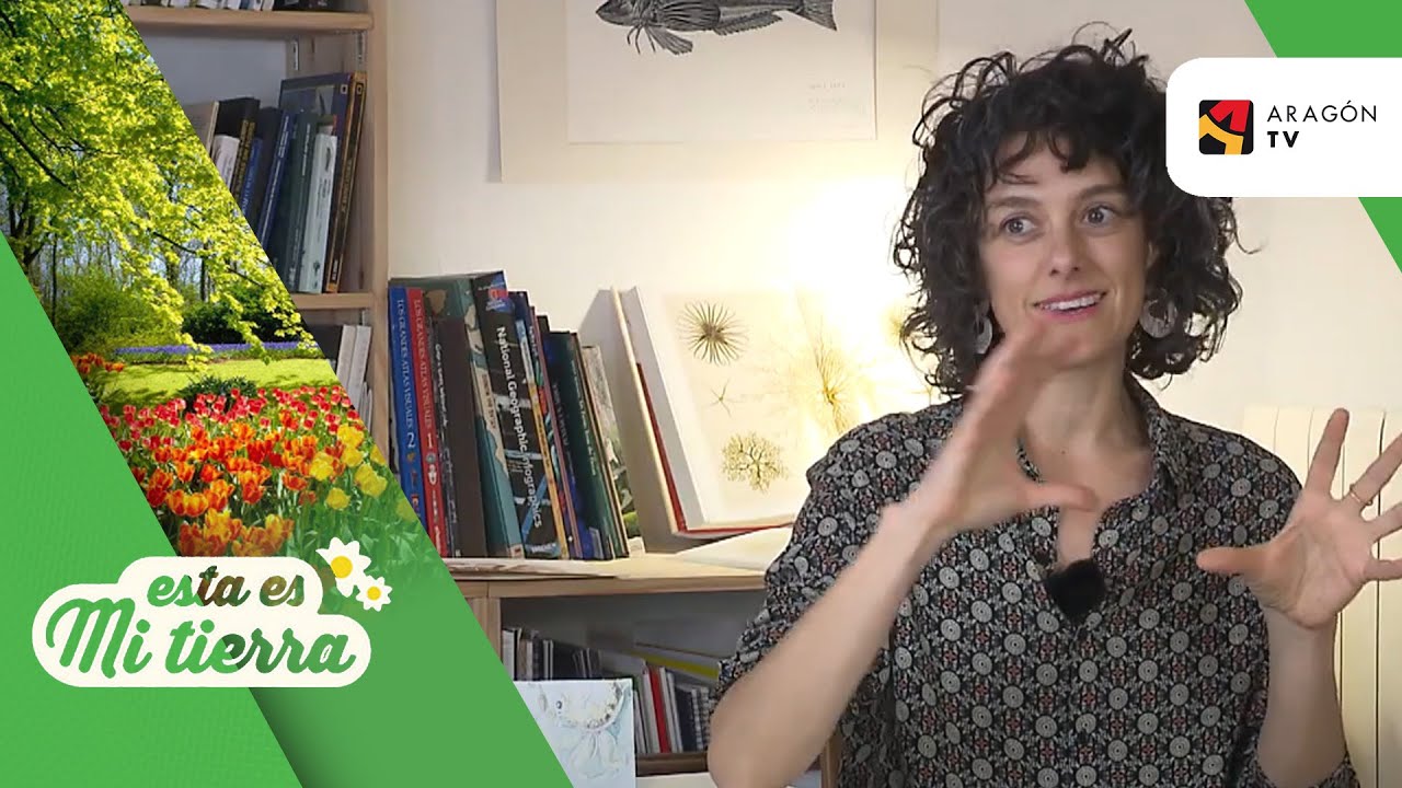 Bióloga y artista especializada en ilustración científica