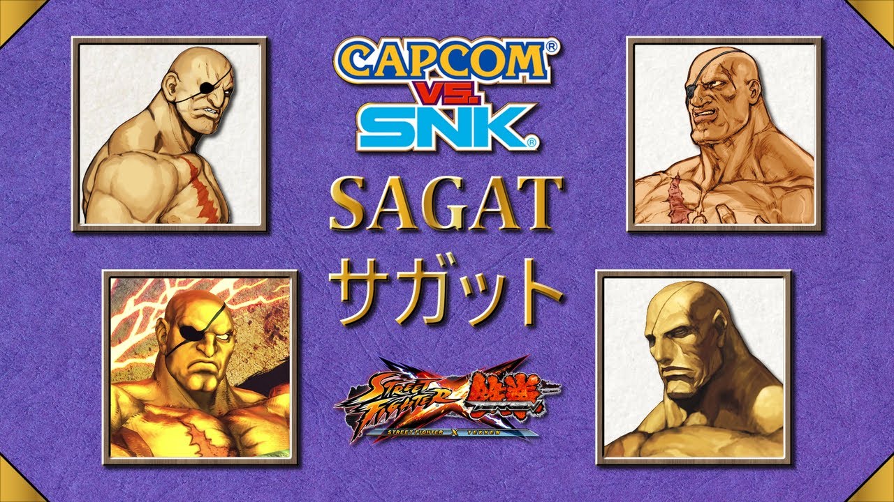 The Book of Sagat Vol. 2