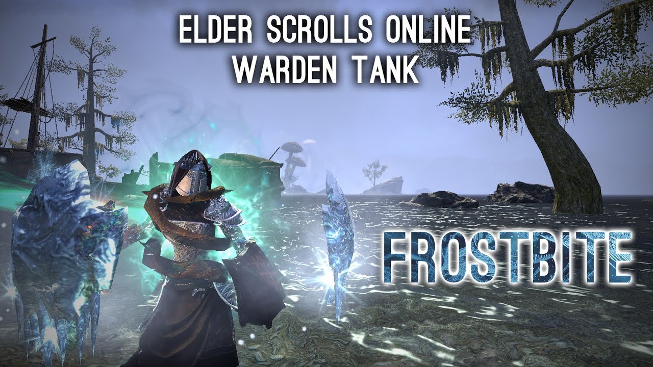 Warden Tank Build PvE 