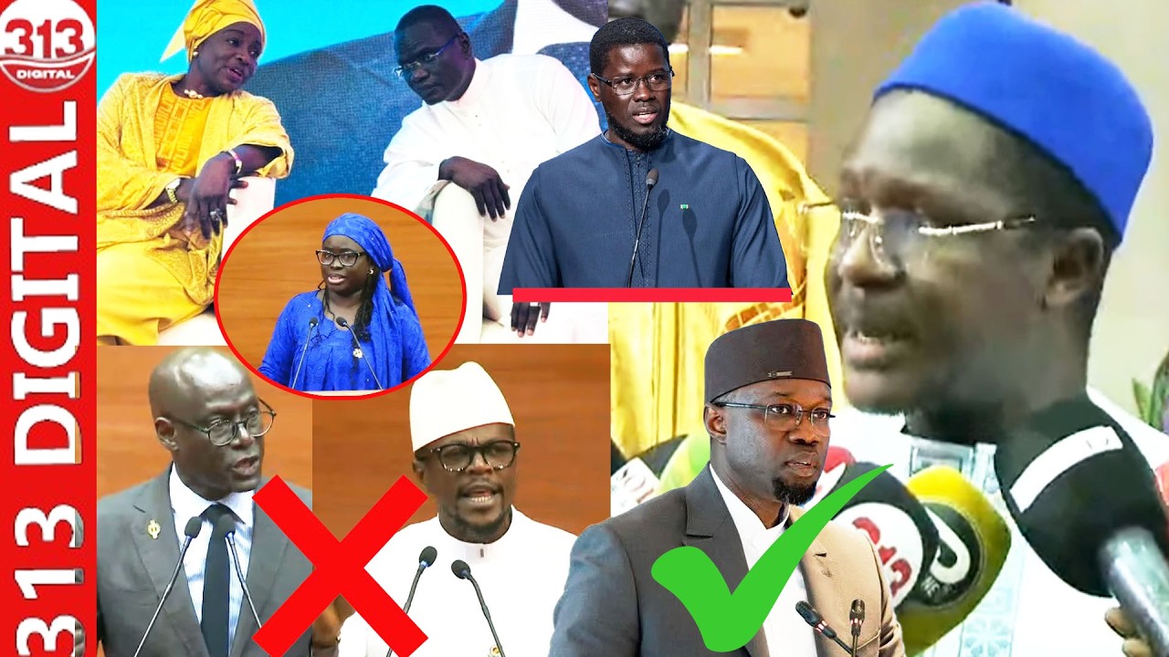 «Dafa am ñiléne di financé… » Cheikh Bara Ndiaye vilipende Abdourahman Diouf, Mimi et cie…