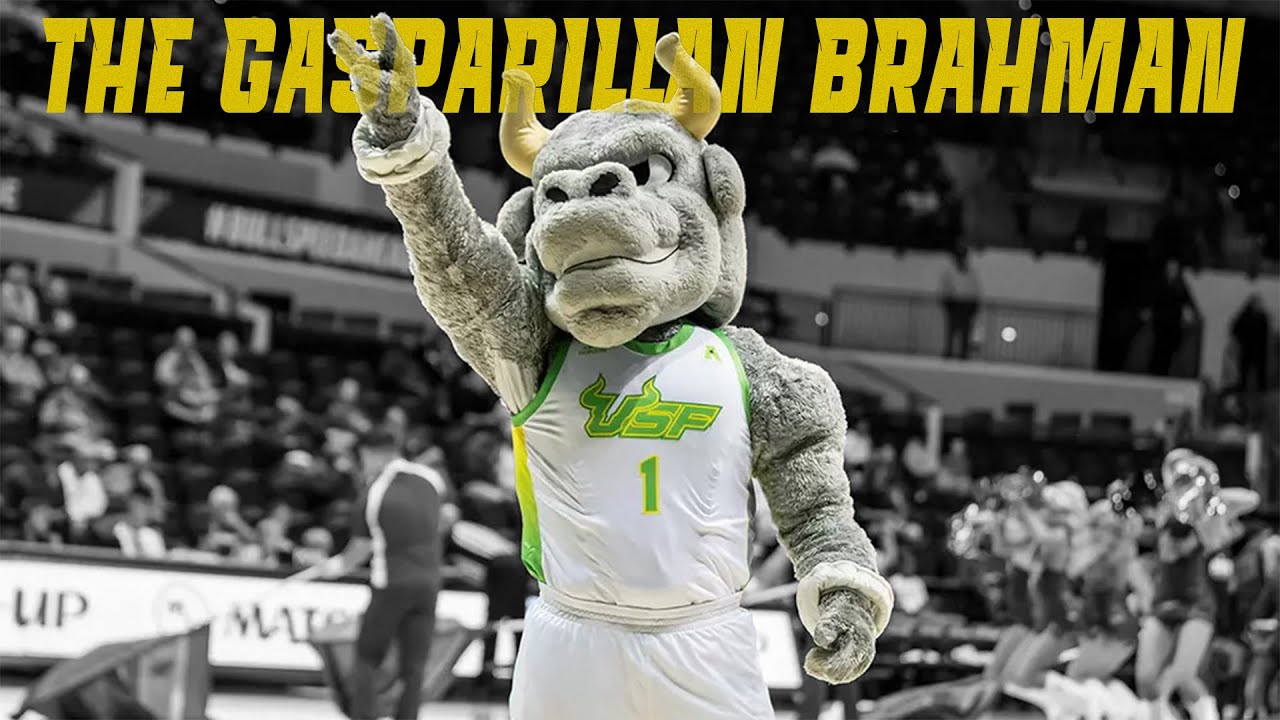 The History of Rocky D. Bull: The Mascots That Made Us
