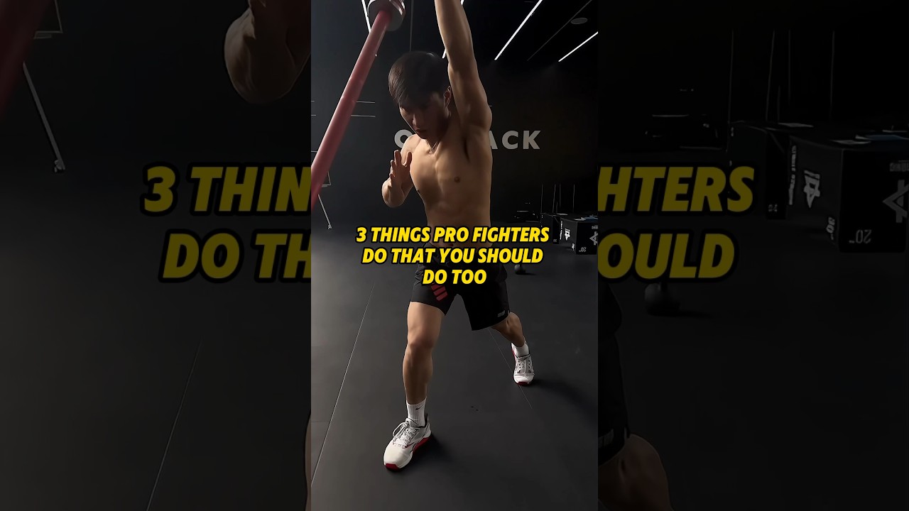 3 principles that level up pro fighters (details in description)