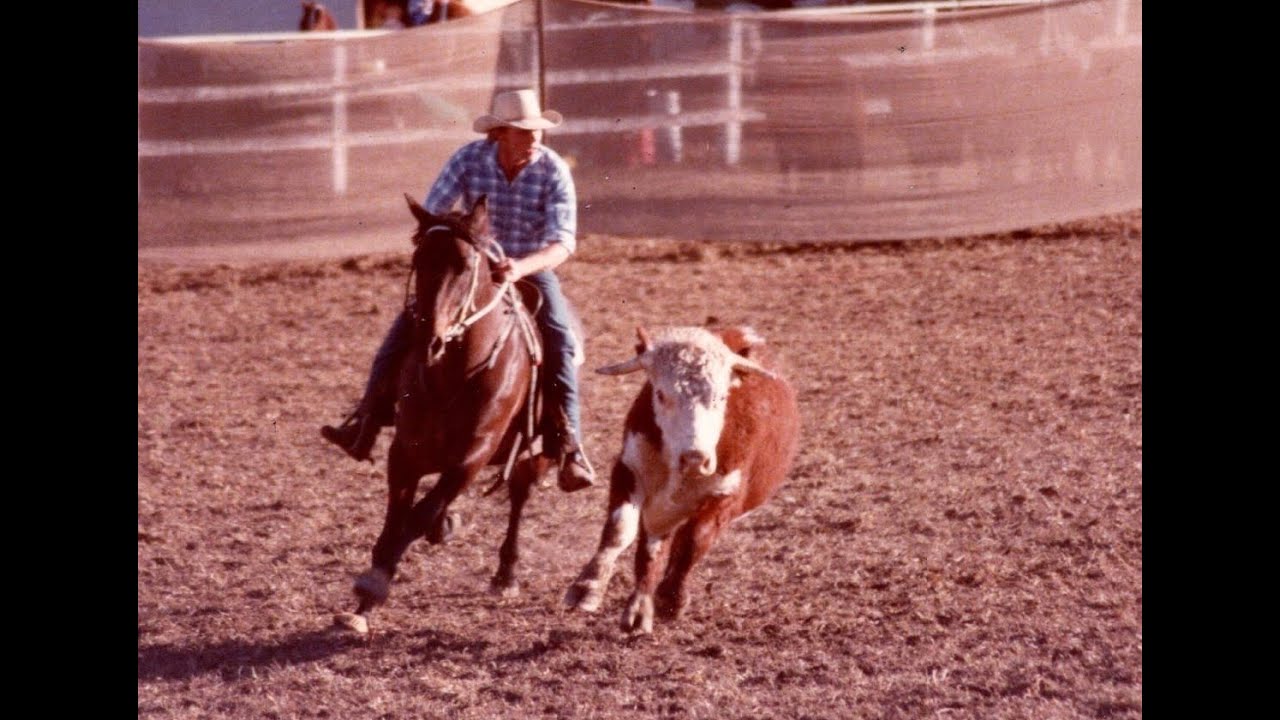 Stock Horse Stories - All Talk, Cattleman and Rifleman