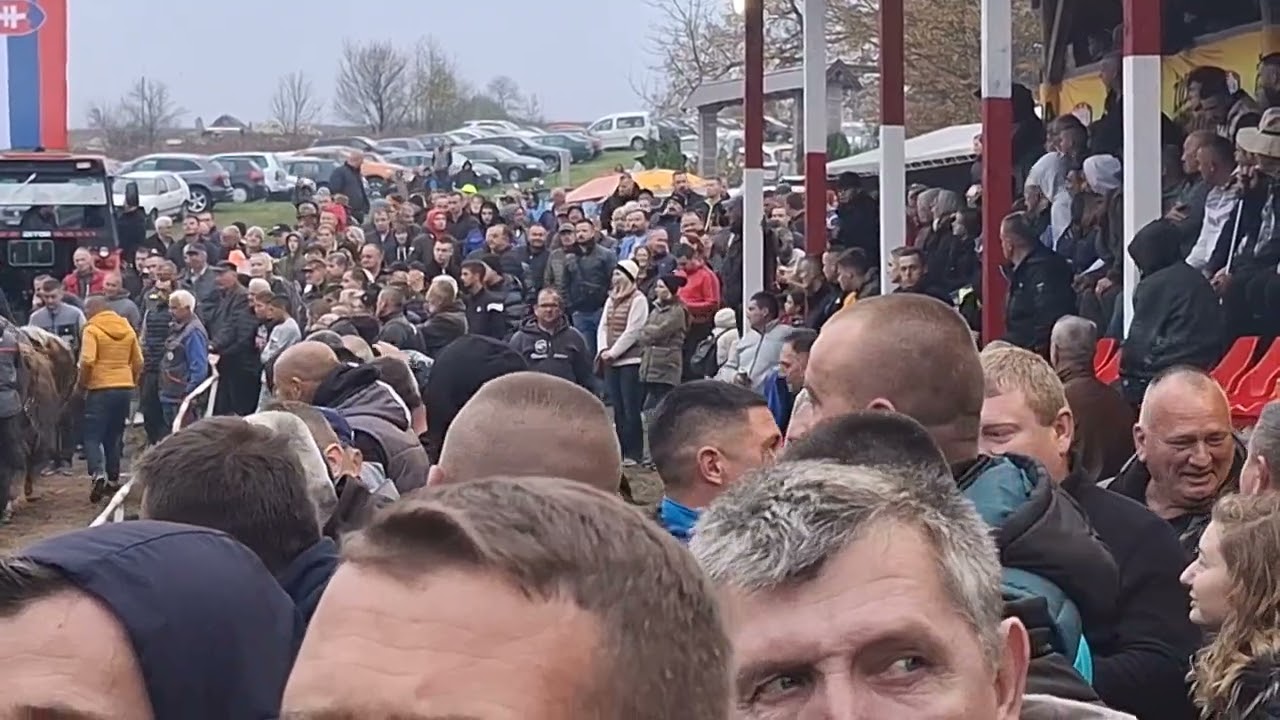 Samir Aličić organizator Karaule