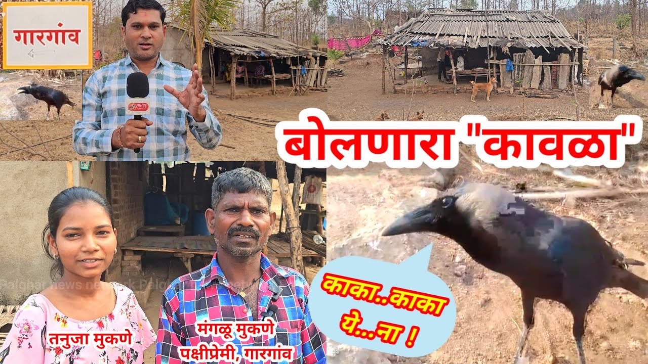 वाडा -गारगांव || बोलणारा काल्या 