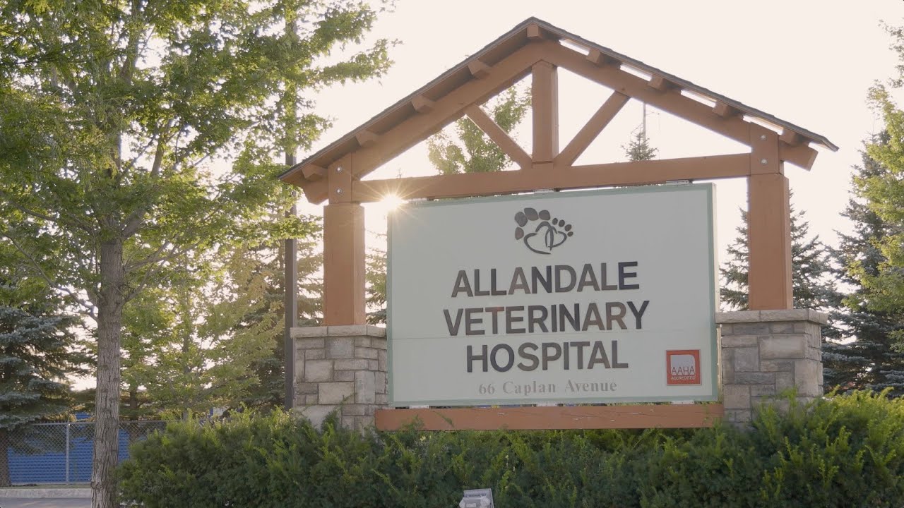 Allandale Veterinary Hospital—Barrie, Ontario
