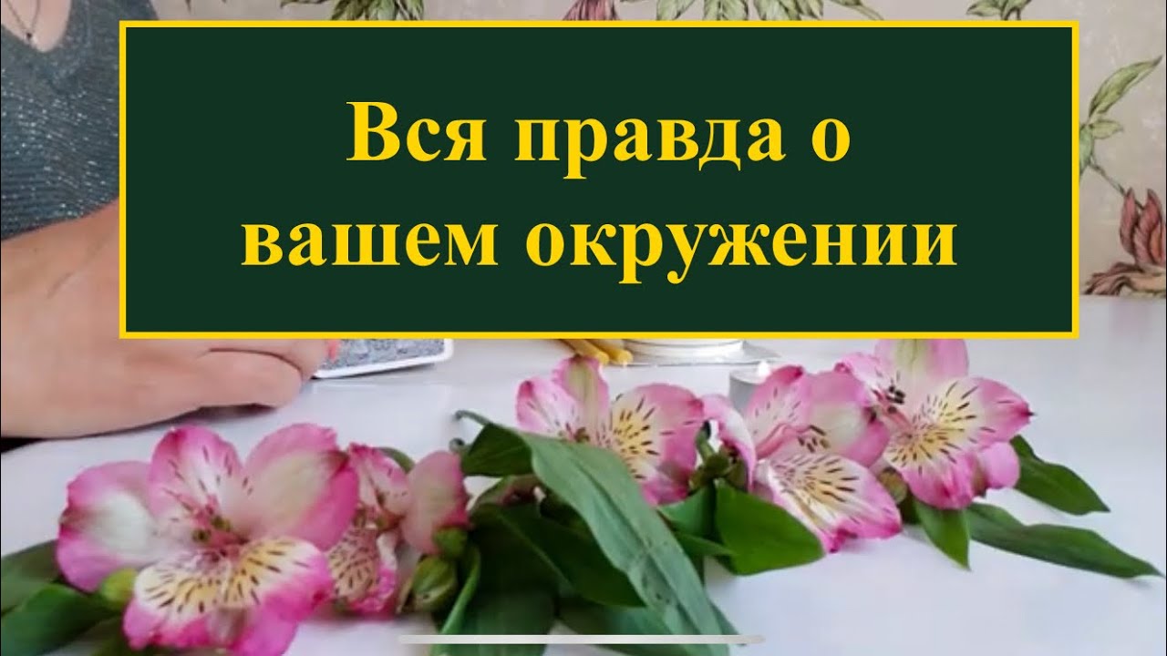 ❗️Вся правда о вашем окружении⁉️ Смотрю на  воске и таро 🔞