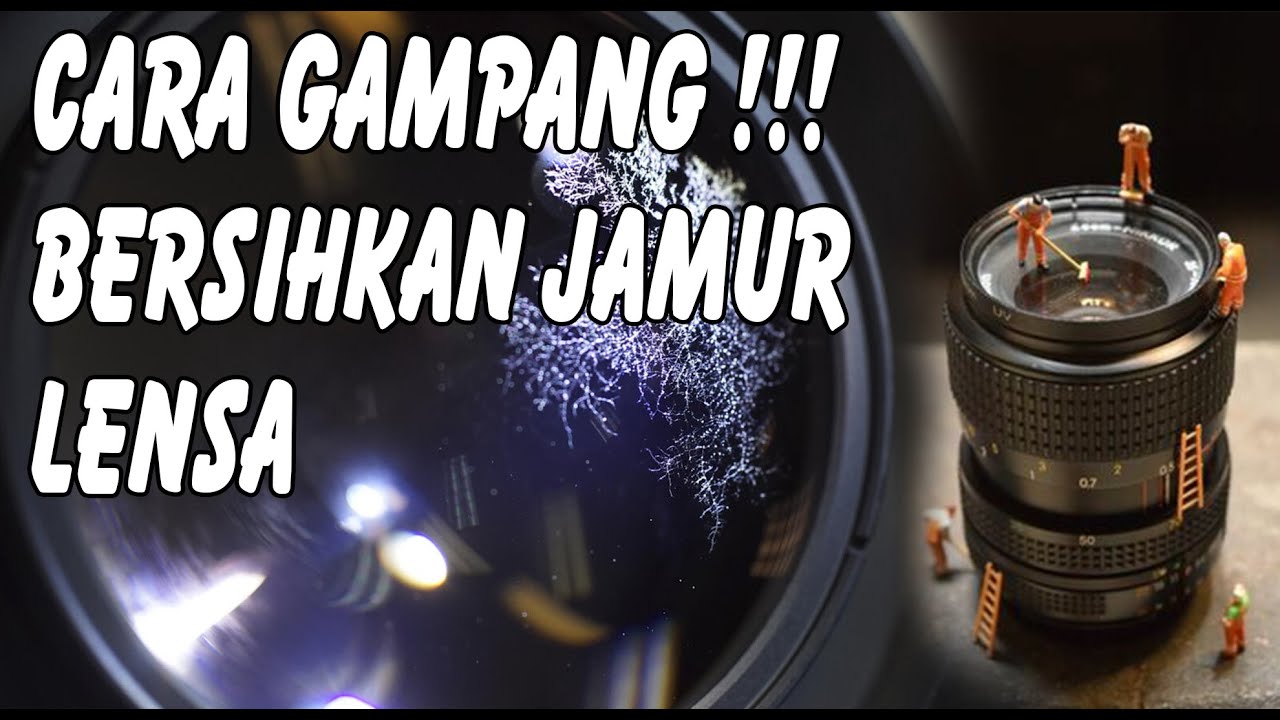 CARA GAMPANG BERSIHKAN JAMUR LENSA