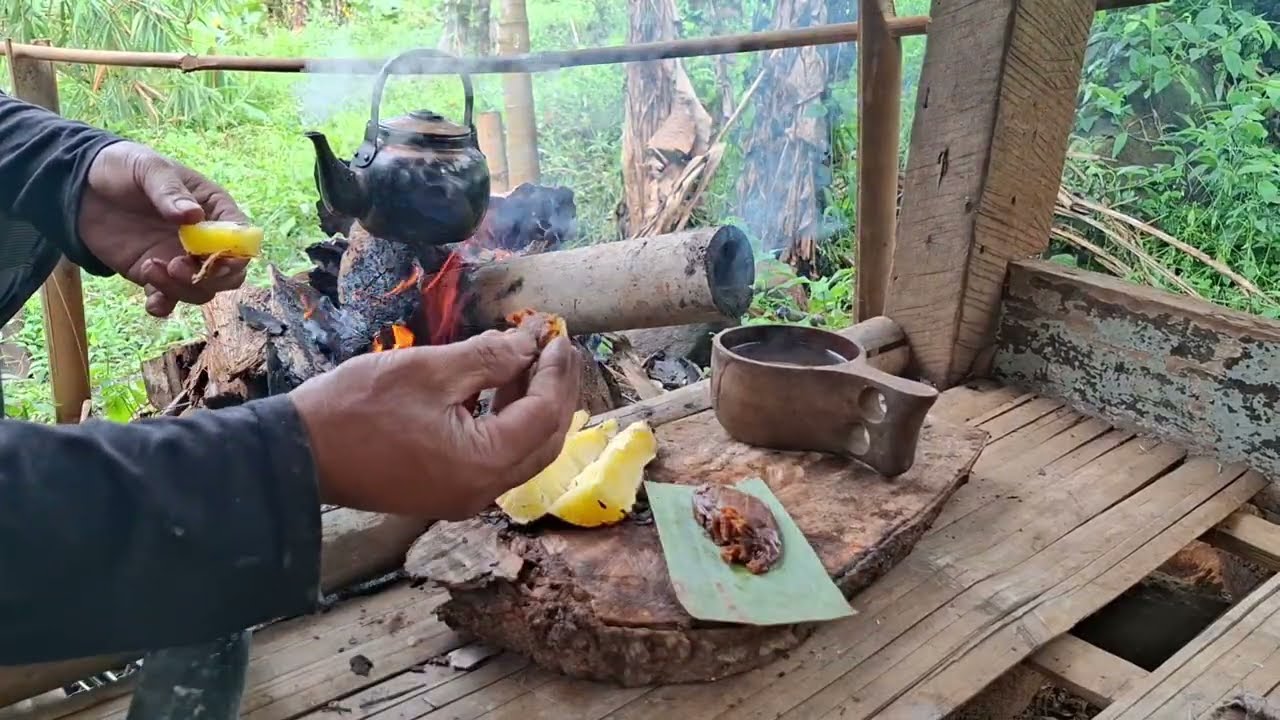Berkemah Saat Hujan dipondok Hutan //Makan dari Alam Asmr