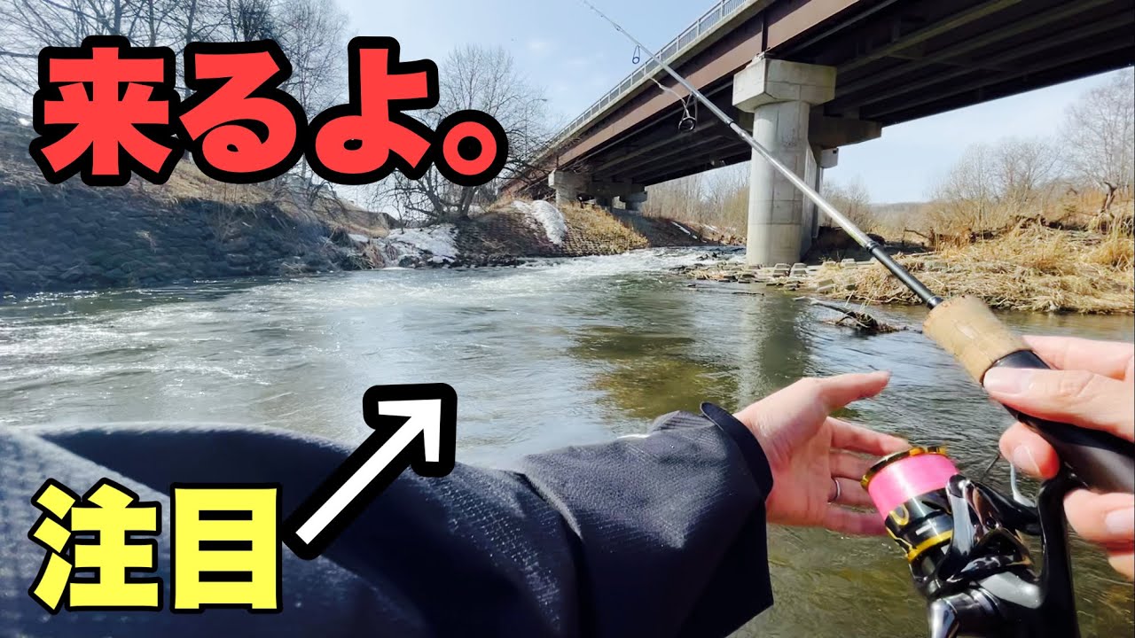 ウソだろ⁈デカっ！北海道の街中の川で釣れた巨大魚?!半年ぶりのルアーフィッシング