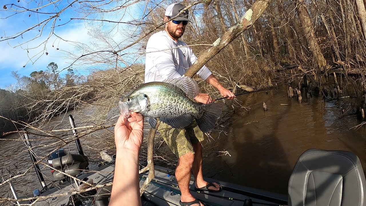 Crappie Fishing Shallow Water {Pre-spawn Males}