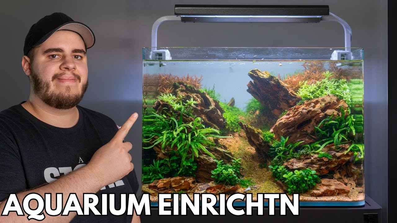 Aquascaping Tutorial: 35L Dennerle Nano Tank mit Drachenstein einrichten!