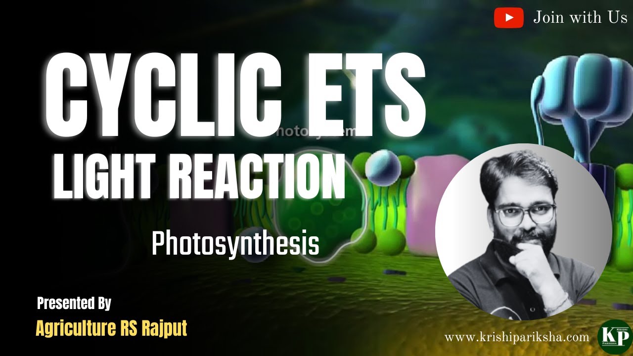 Cyclic ETS | Light Reaction | Photosynthesis | Agriculture Online Classes | Agriculture Jobs