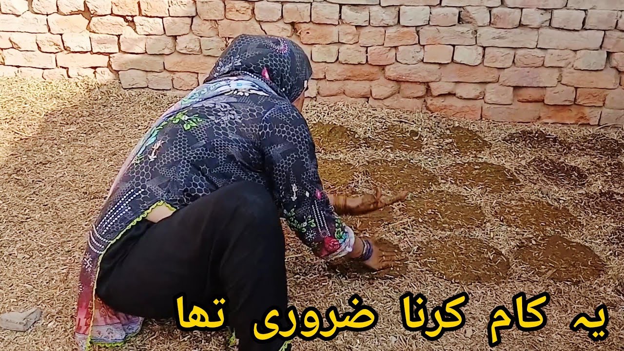 Ya Kam Bhi Zrury Tha || Village Daily Routine || Happy Mano Family 