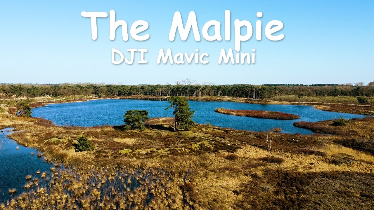 De Malpie, Valkenswaard - The Netherlands