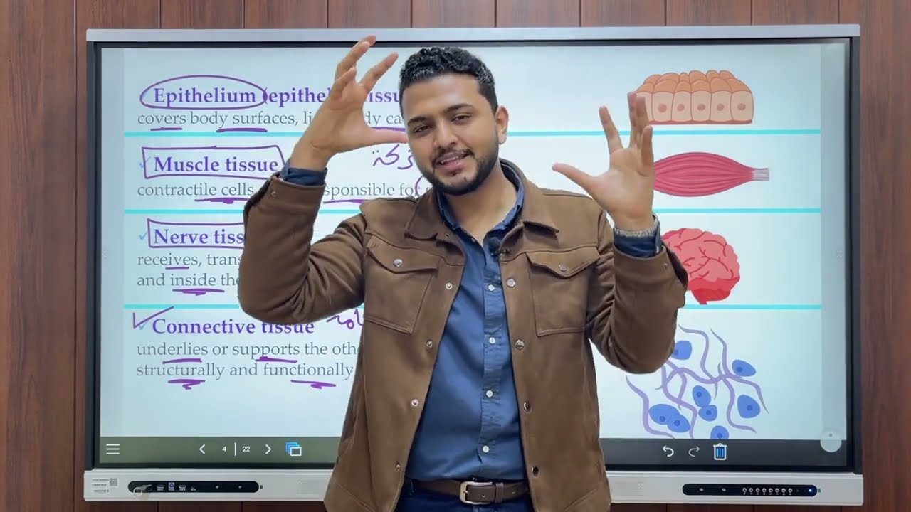 Epithelium structure & functions