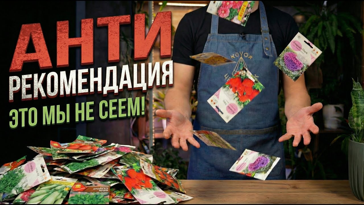 Антирекомендация: это мы не сеем