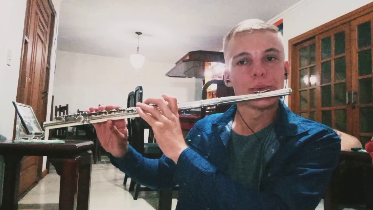 Despacito-Luiz Fonci cover Flauta Transversal