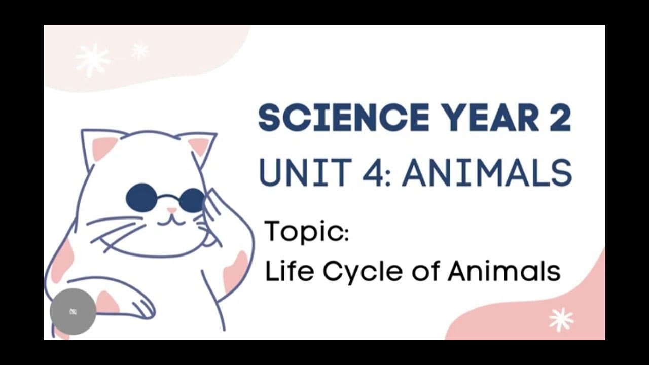 Science Year 2 Unit 4: Animals (Life Cycle of Animals)