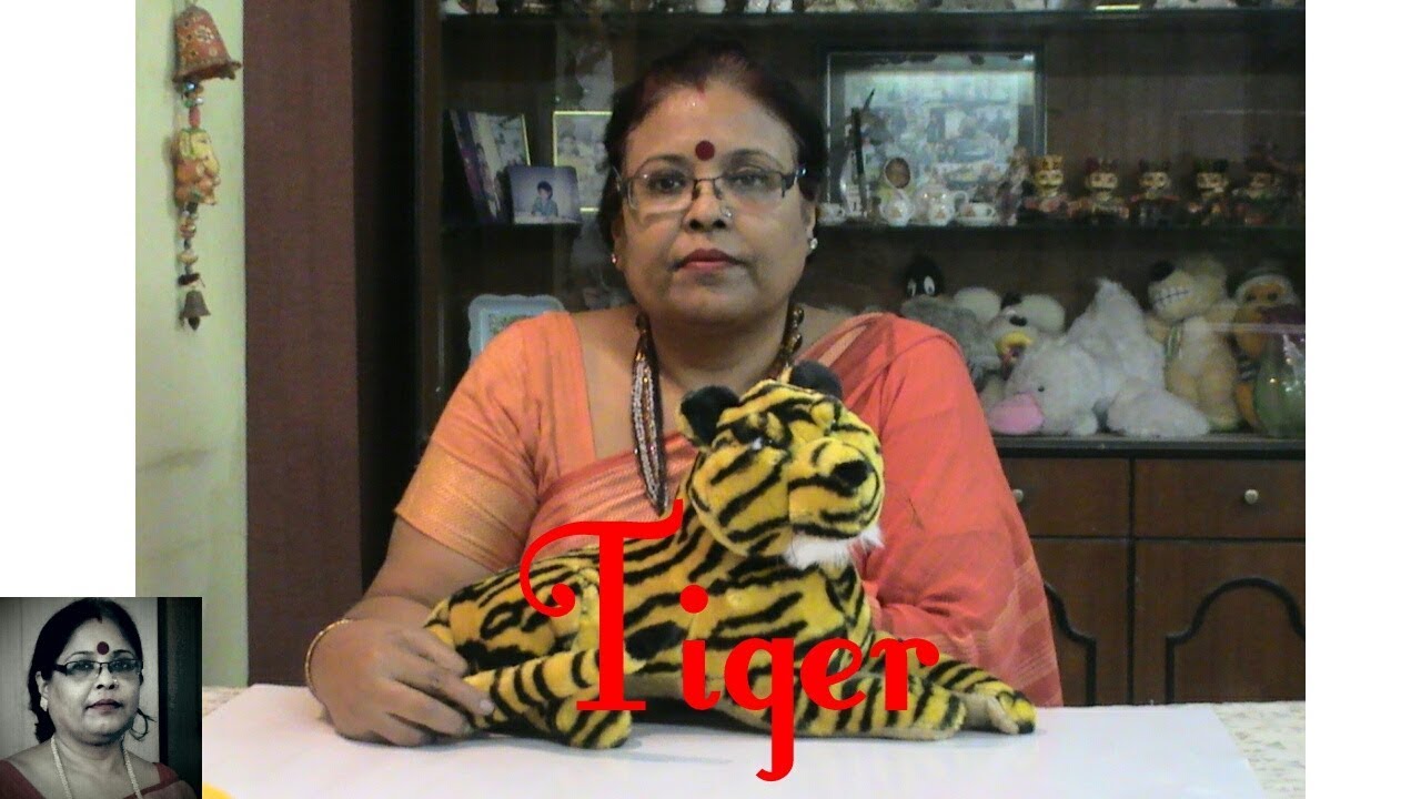 Handmade TIGER Soft Toys Making / Debjani Creations Tutorial