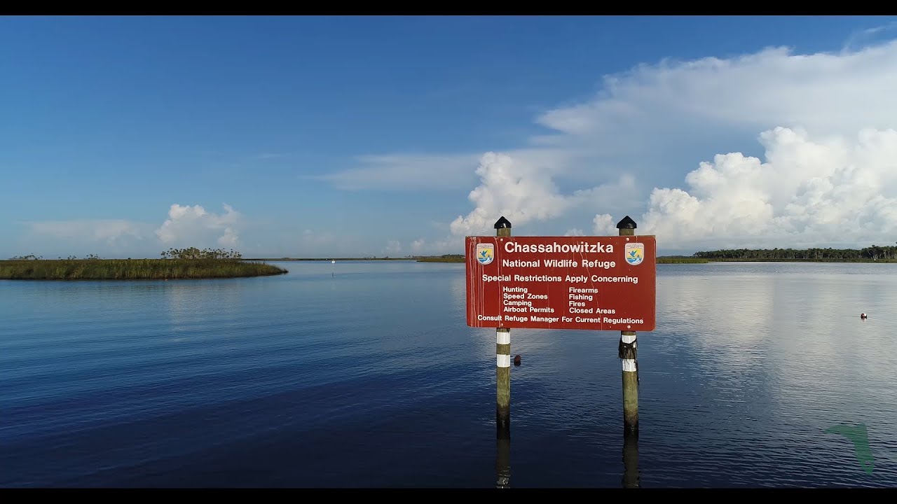 The Chassahowitzka River