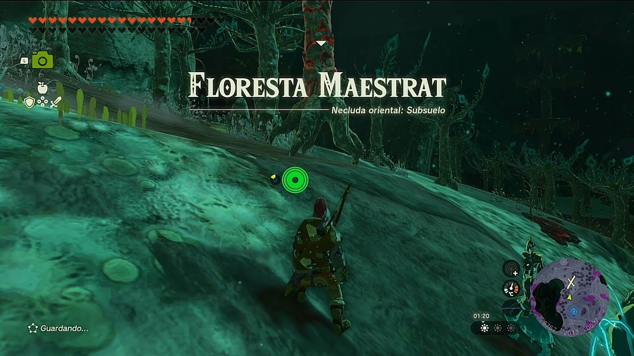Zelda Tears 420 Floresta Maestrat