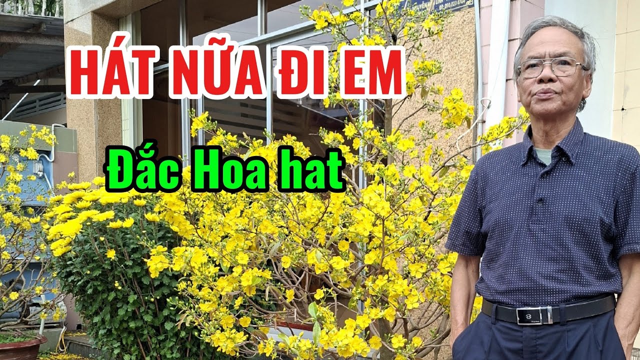 HÁT NỮA ĐI EM. ĐẮC HOA HÁT.