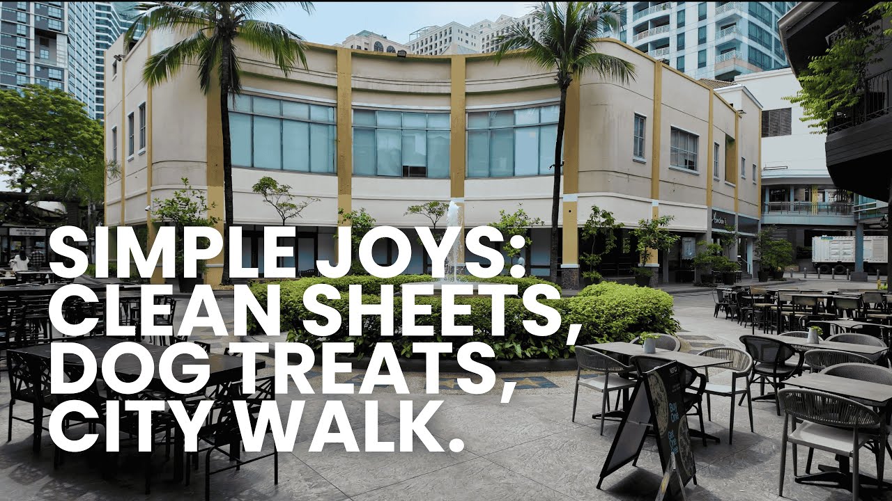 Simple Joys ✨ Clean Sheets, Dog Treat Run & City Walk
