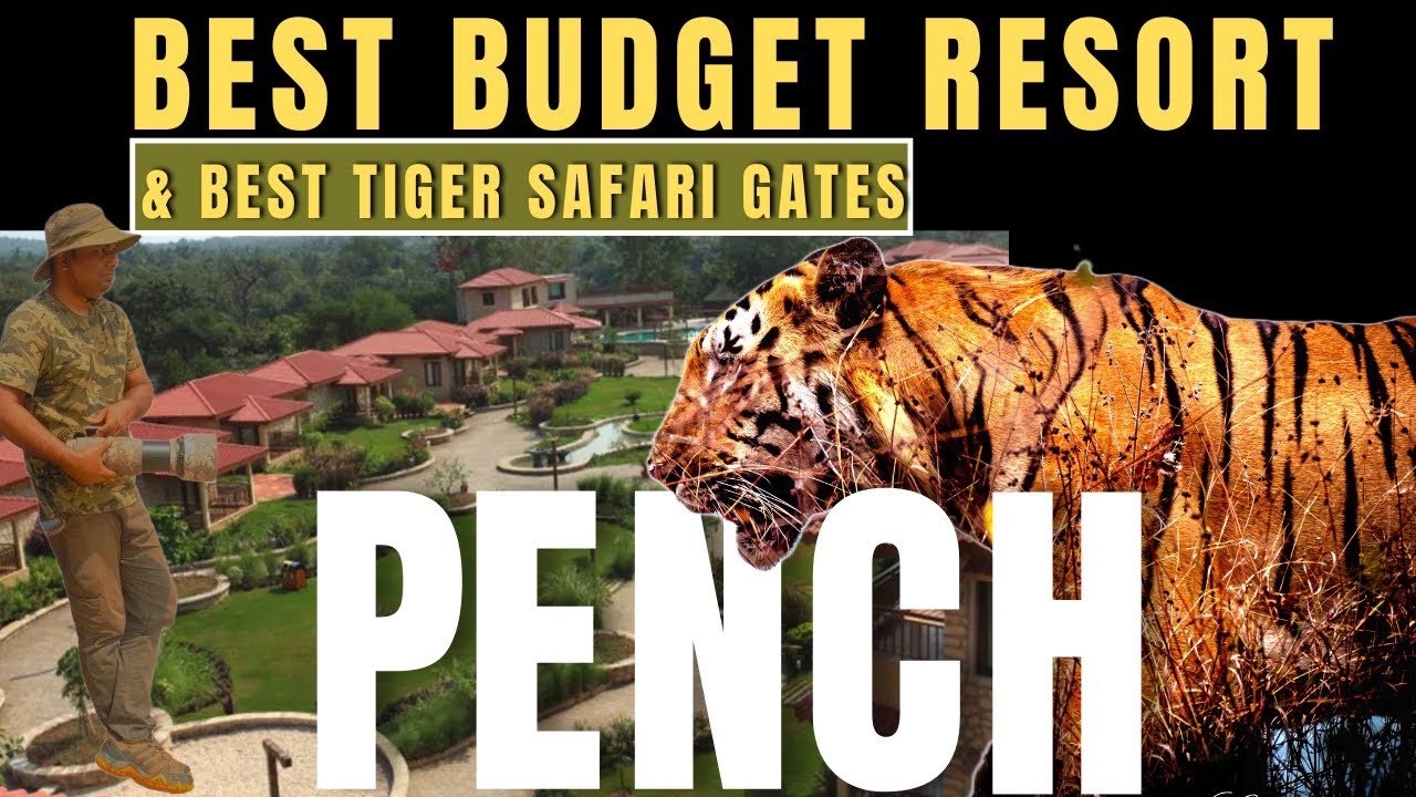 Where to stay in PENCH ? BEST Budget Resort with Tiger Safari Gate details