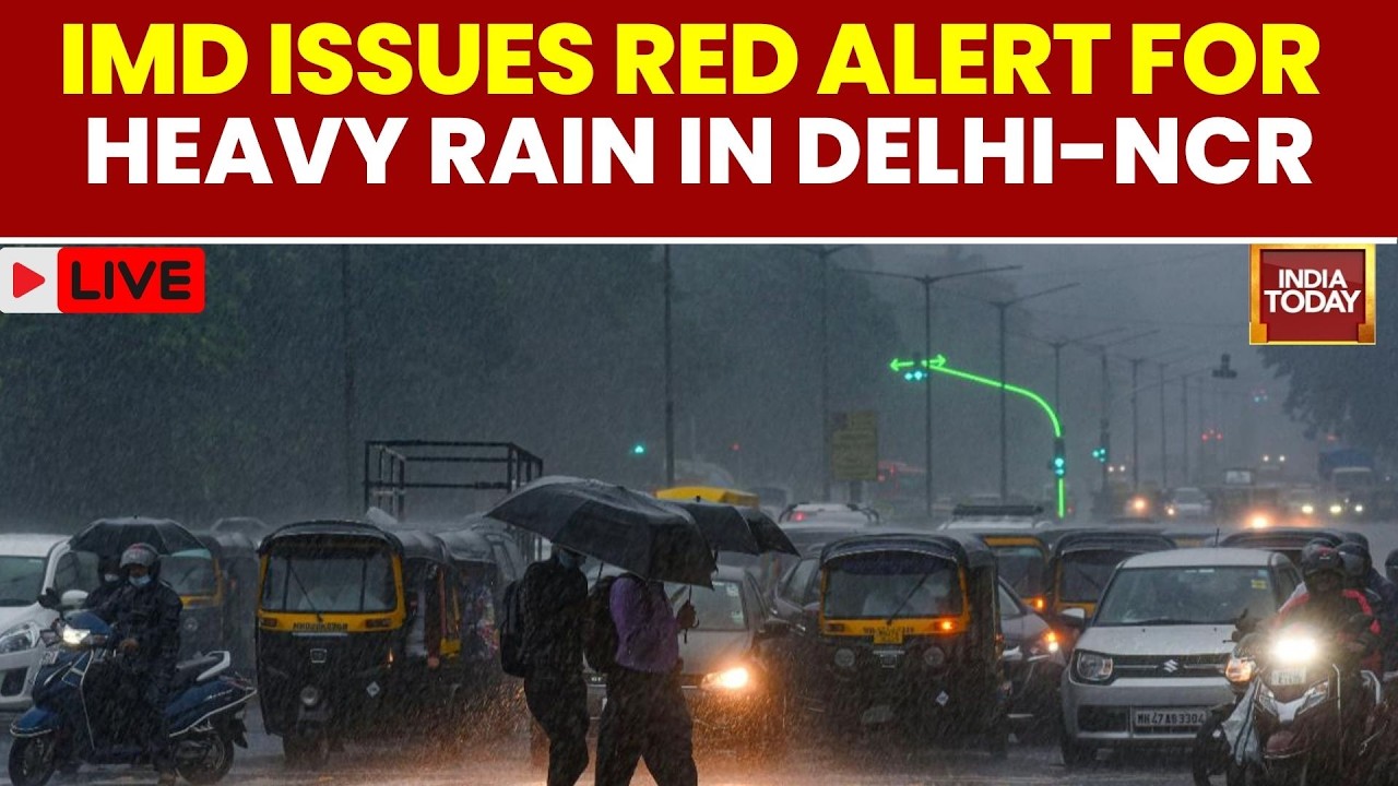 Live: Heavy Rain Fury Continues In Delhi | Red-Alert Issues For Heavy Rain In Delhi-NCR | IMD