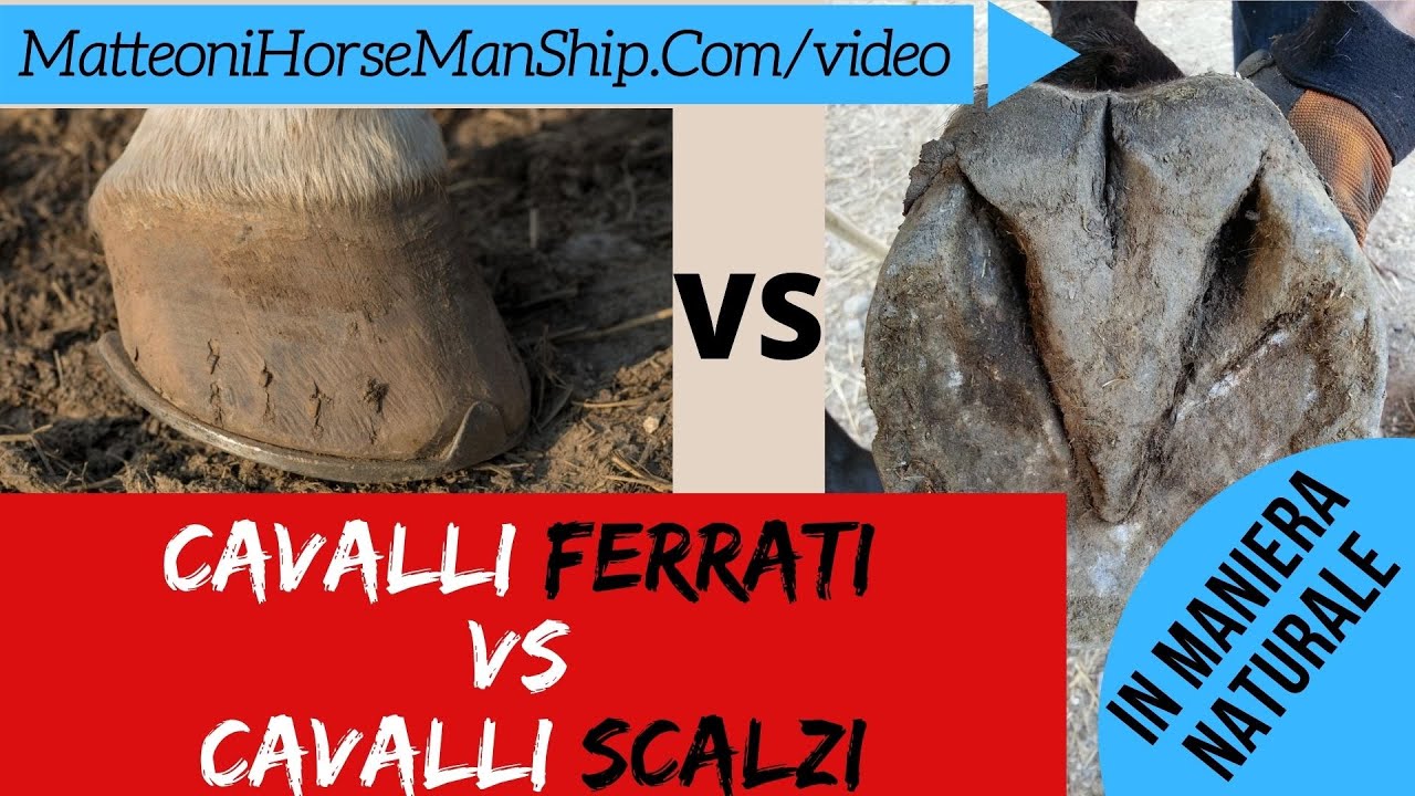 Cavalli ferrati Vs Cavalli scalzi