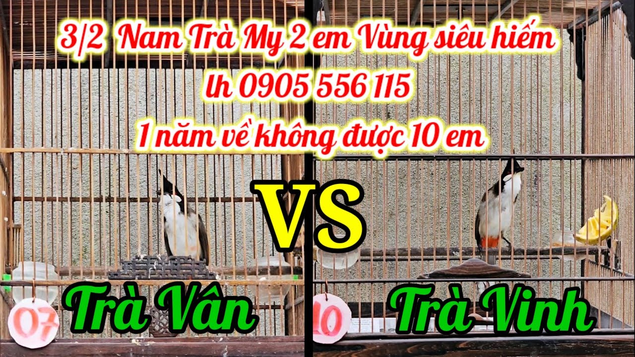 đ&atilde; b&aacute;n hết NAM TR&Agrave; MY 3/2 LH:0905556115 (Mr.Phương)|#banchaomao#chaomaohotdau#chaomaoquang#