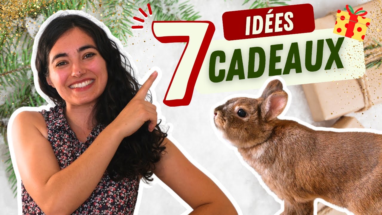 7 Idées pour faire PLAISIR à un FAN DE LAPIN #noel