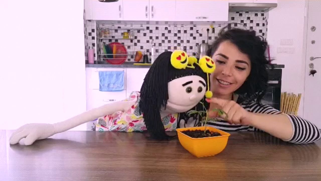 MARMELAT TİŞÖRTÜNÜ KESİYOR !!! (YENİ)