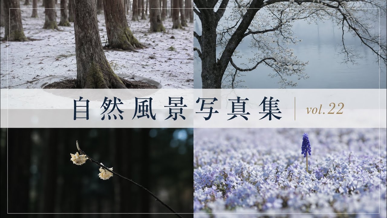 【風景写真_vol.22】春の風景写真集