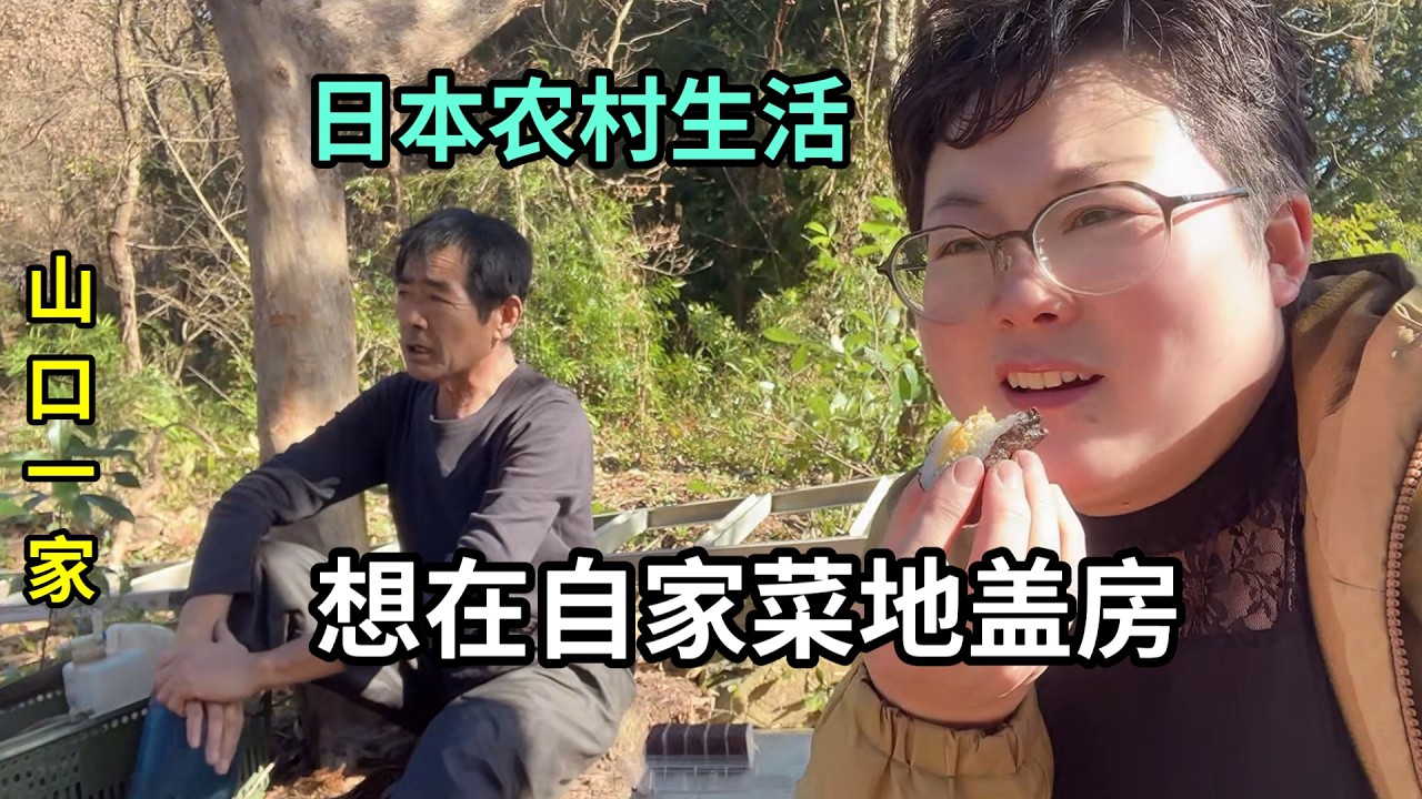 和山口規劃在菜地蓋棟房子，算一筆賬，日本人工費太貴了
