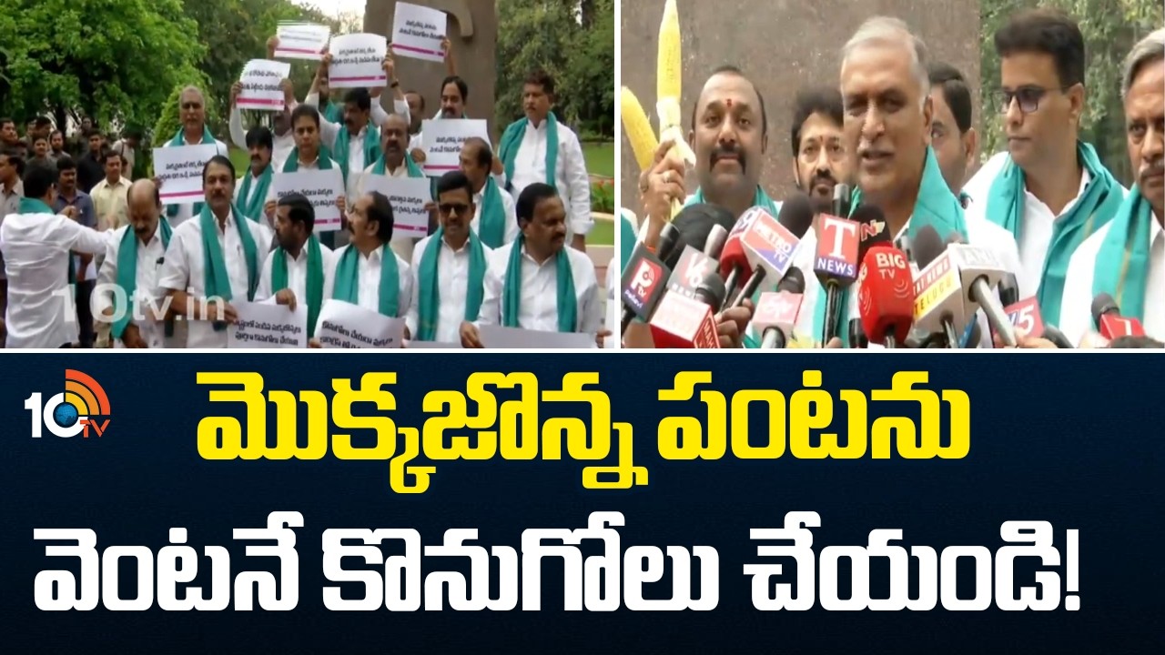 Harish Rao Demands Congress Govt | మొక్కజొన్న పంటను వెంటనే కొనుగోలు చేయండి! | BRS Protest | 10TV