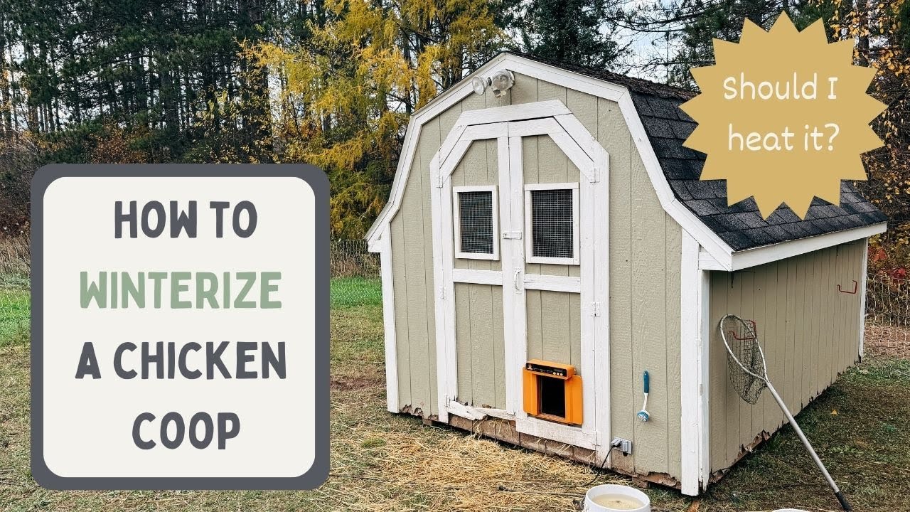 How to WINTERIZE a Chicken Coop