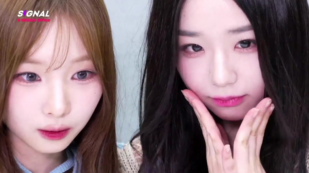 240716 채연 하연 라이브 하겠습니다 | tripleS SIGNAL LIVE
