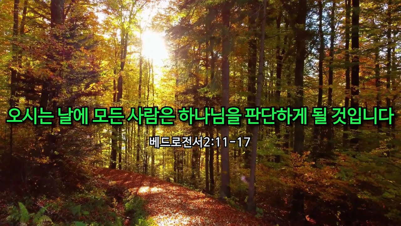 오시는 날에 모든 사람은 하나님을 판단하게 될 것입니다(벧전2:11-17)