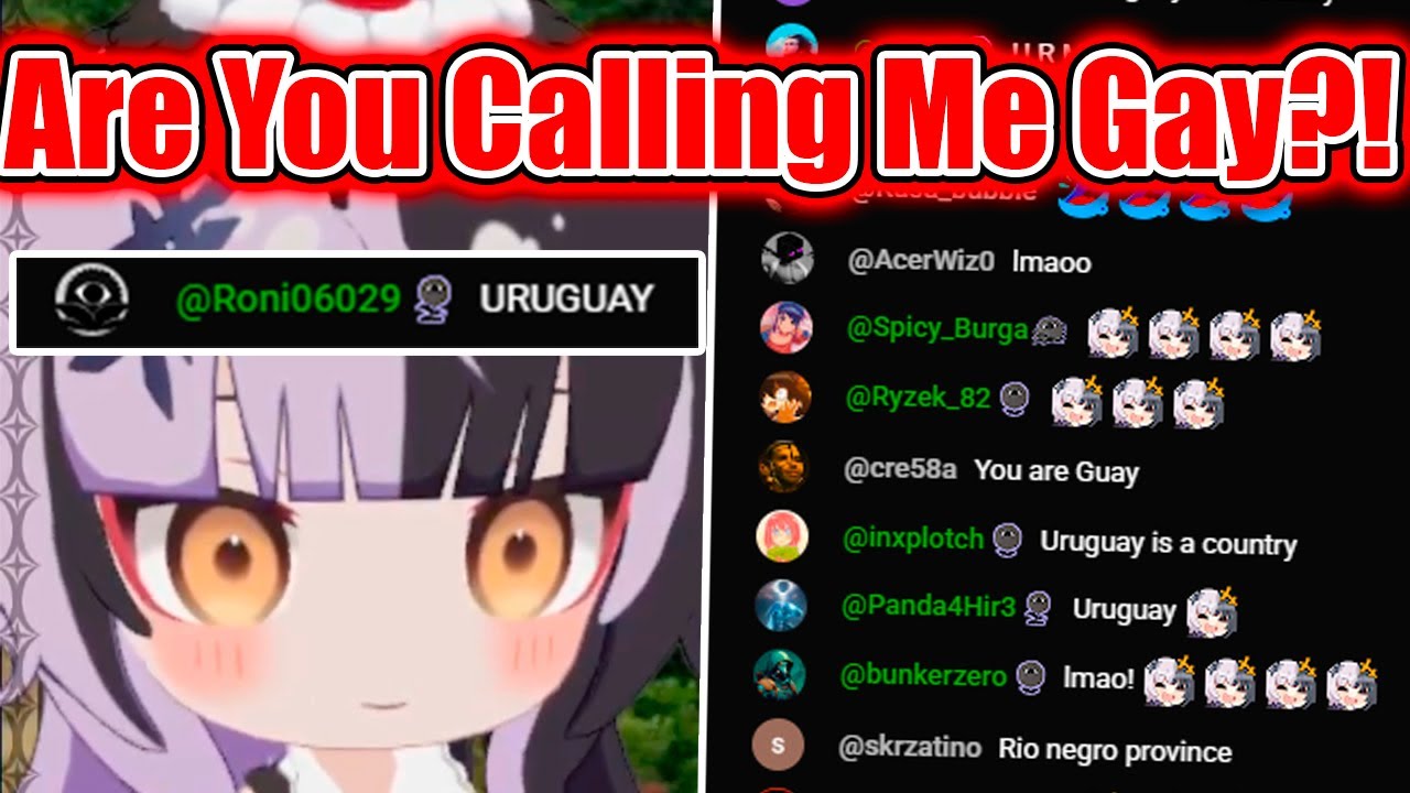 Shiori Thought Chat Was Calling Her Gay While Playing GeoGuessr