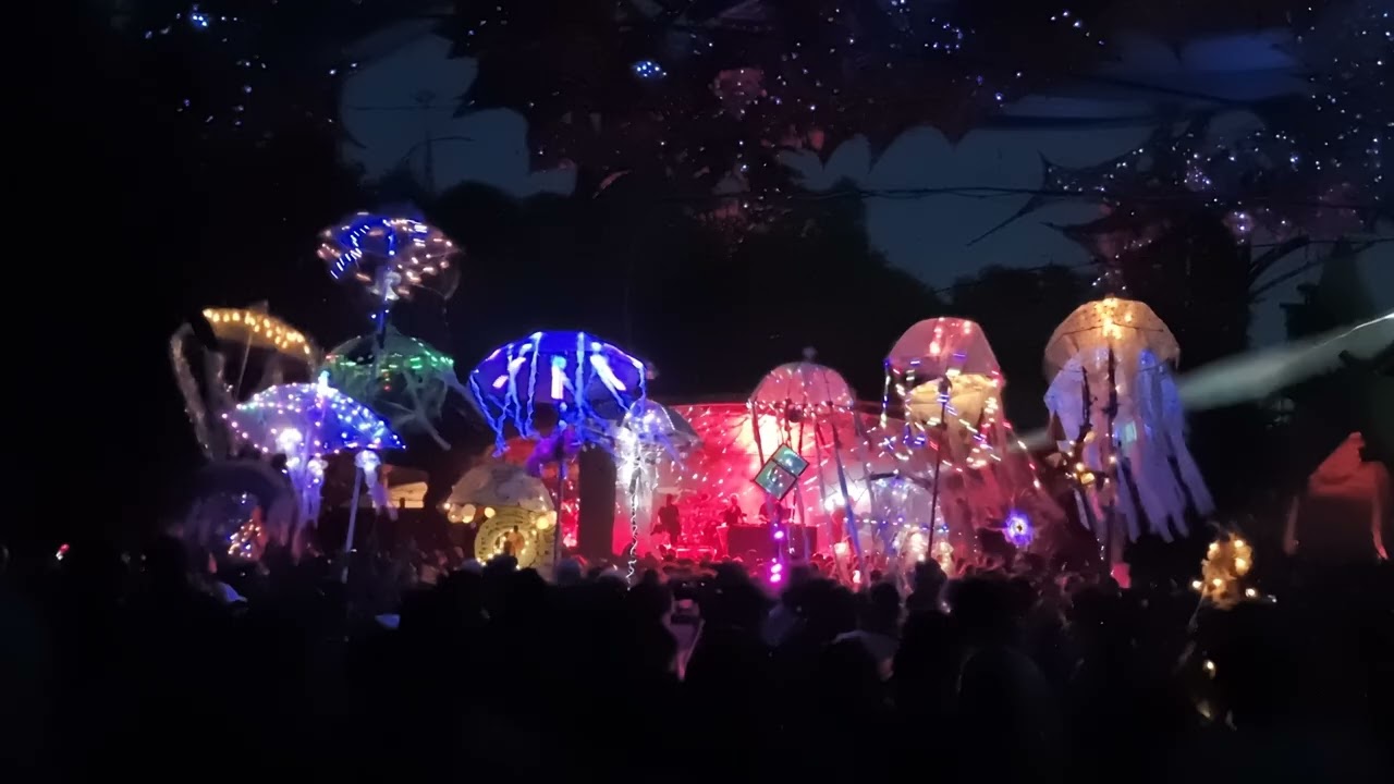 Carbon Based Lifeforms Ozora 2024 (video 2)