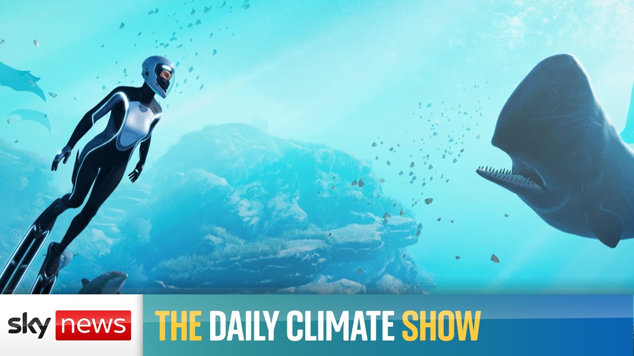 The Daily Climate Show: Can gaming make us greener?
