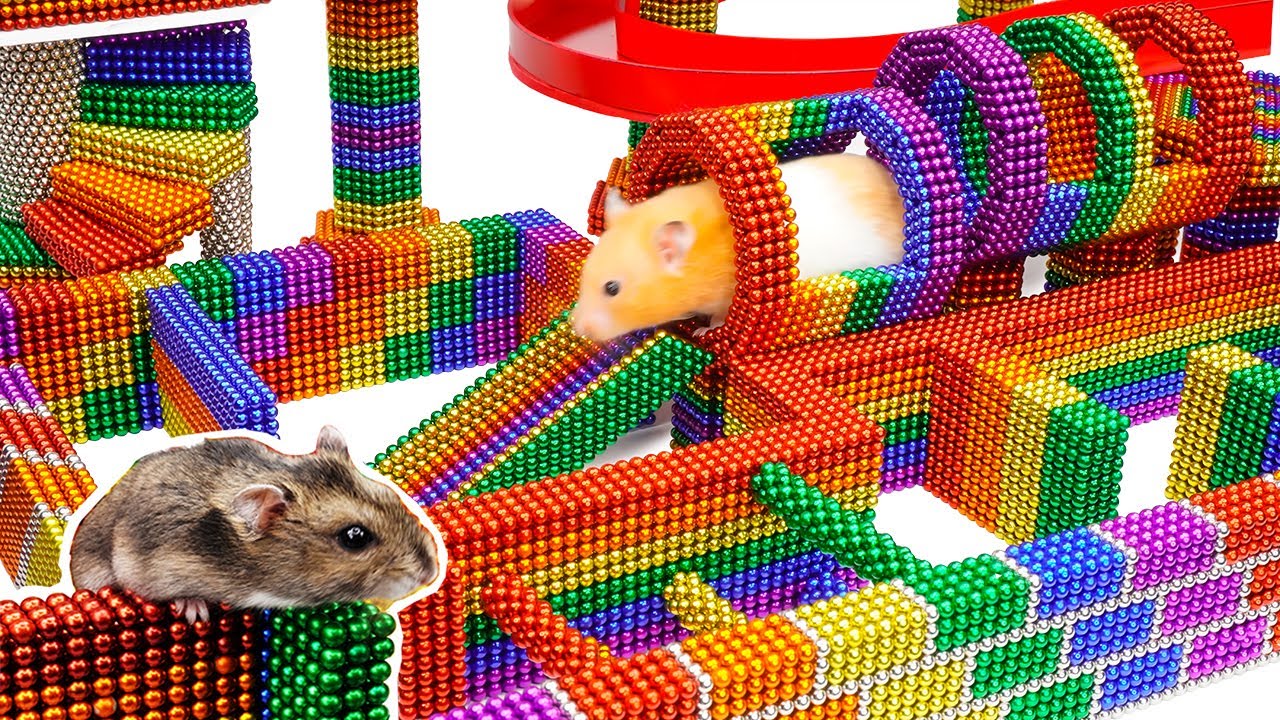 Build a 3 level Maze Challenging for Hamster to Overcome With Magnetic Balls