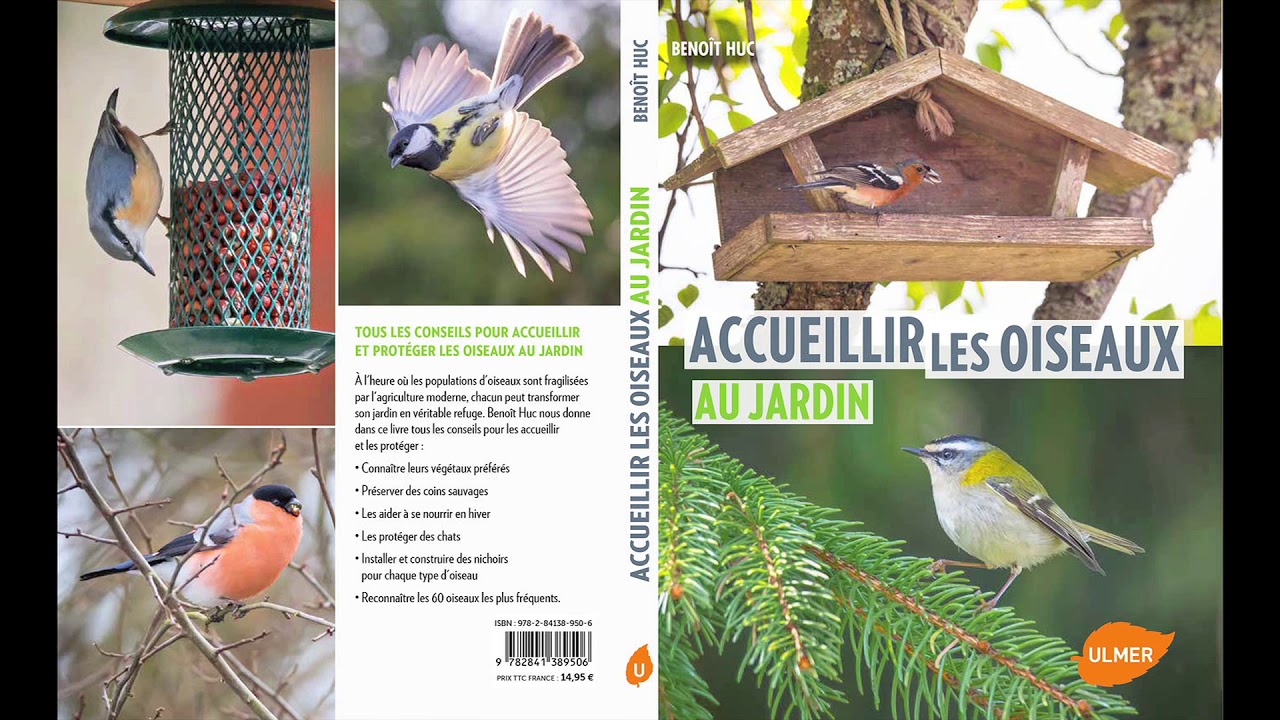 Beno&icirc;t Huc, auteur du livre 