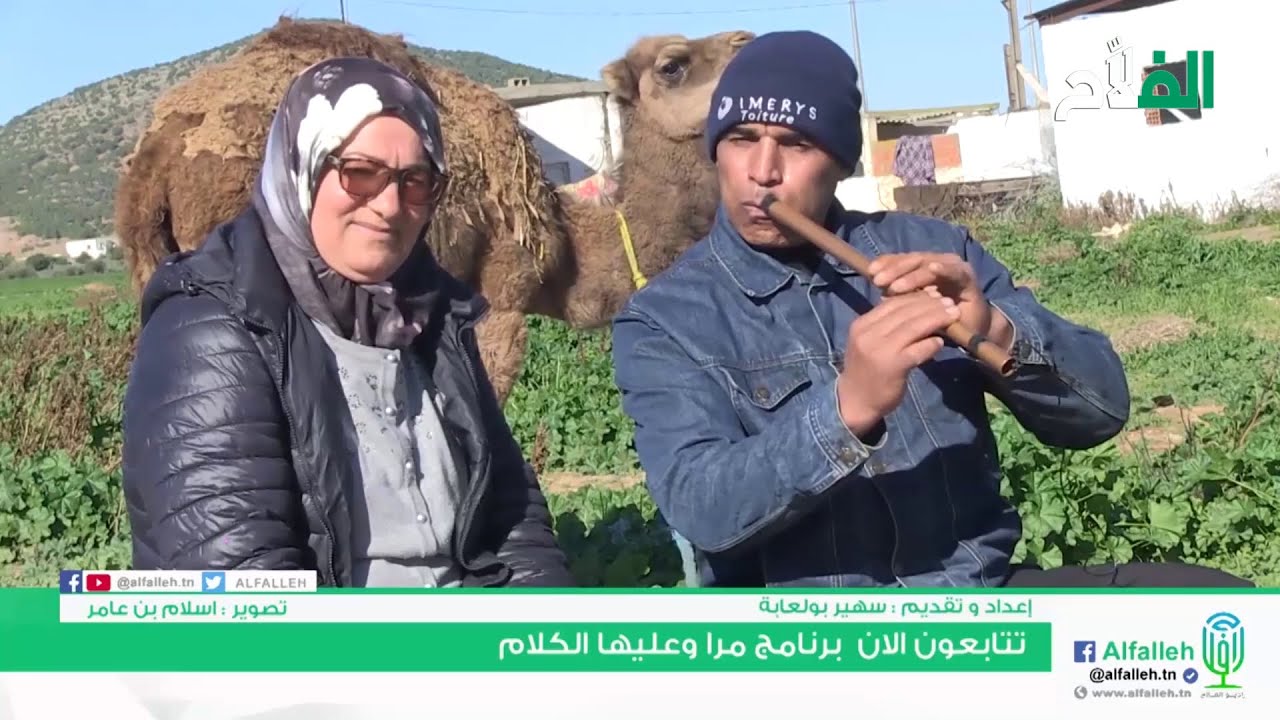 Alfalleh#agriculture_in_tunisia امراة و عليها الكلام  الفحص ولاية زغوان