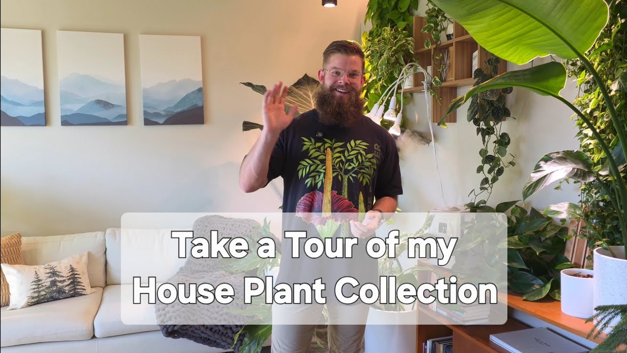 House Tour With 180+ House Plant