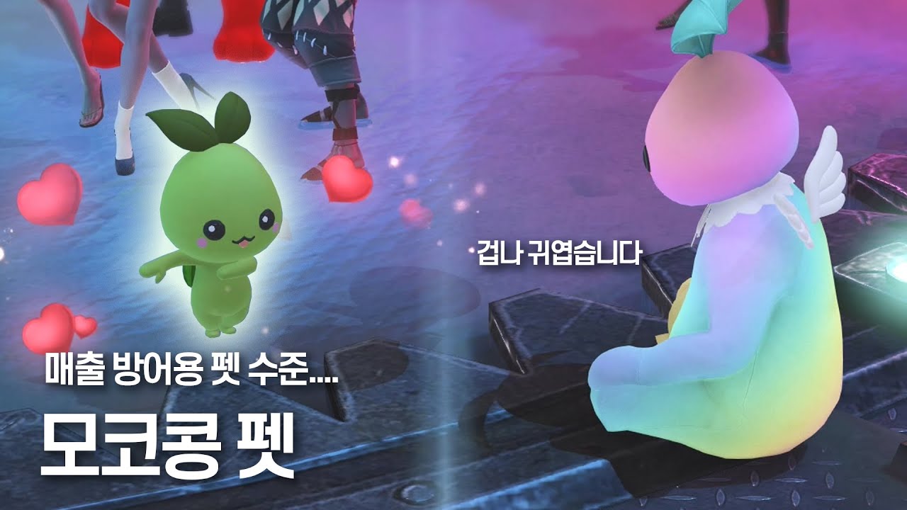 로스트아크 모코코 펫 [Lostark Mokoko Pet]