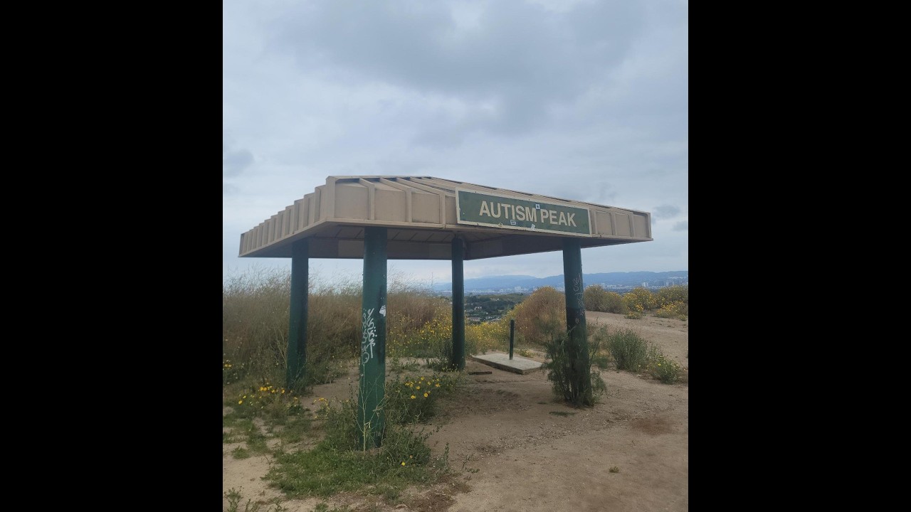 Le jeu vidéo est un art.